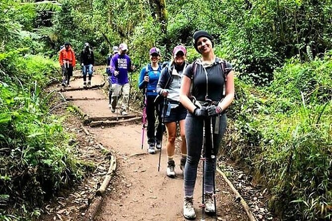 Kilimanjaro day trip starting from Arusha - The guide matters on a mountain day