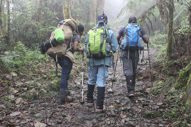 Kilimanjaro day trip starting from Arusha - Who should book this day hike?