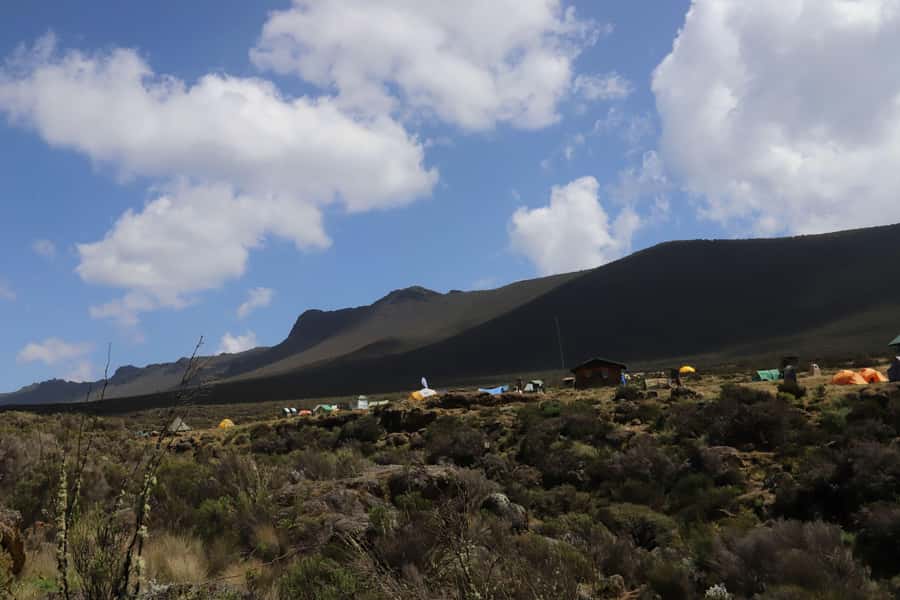 Kilimanjaro: Day trip to Shira Plateau, from Moshi/ Arusha - Entering Kilimanjaro National Park and starting at 3,400 meters