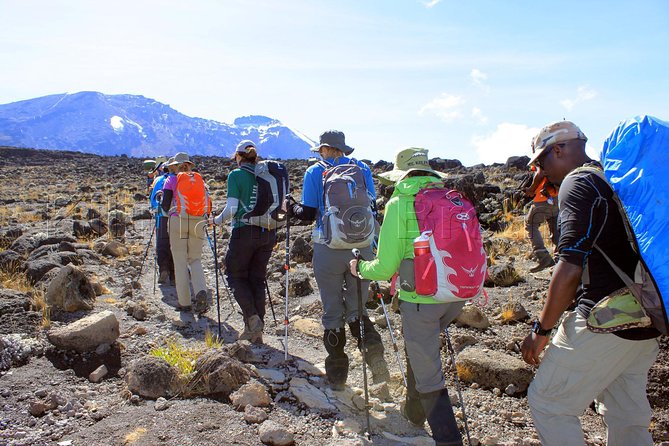 Kilimanjaro-lemosho Route 8 Days Itinerary - Day 6: Barranco Wall to Karanga Camp