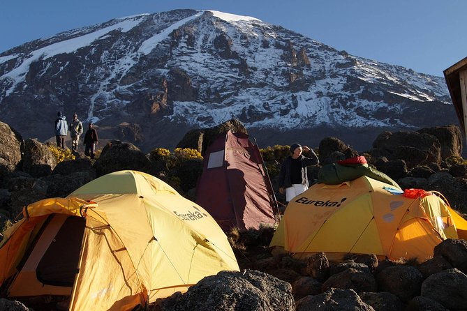 Kilimanjaro-lemosho Route 8 Days Itinerary - Day 2: Londorossi Gate to Mti Mkubwa Camp