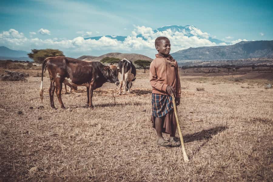 Kilimanjaro: Maasai Village Visit, Waterfalls, & Coffee Tour - Why this Kilimanjaro day trip works