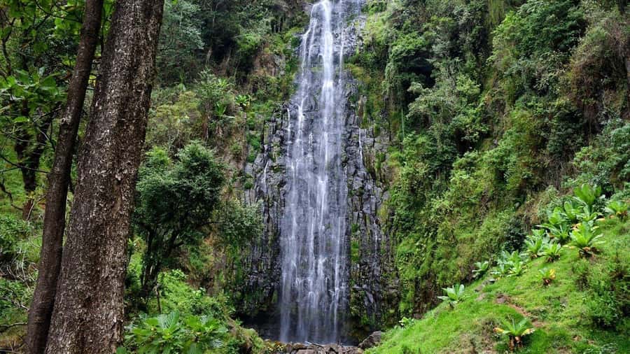 Kilimanjaro: Maasai Village Visit, Waterfalls, & Coffee Tour - Materuni Waterfall and its 80-meter drop