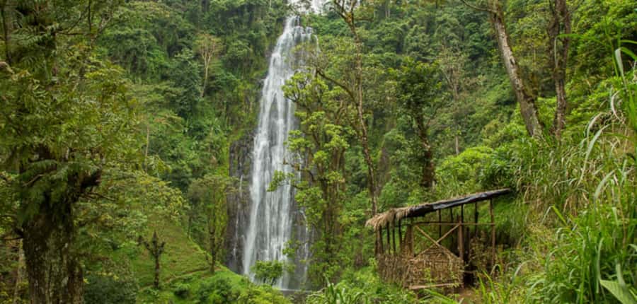 Kilimanjaro: Maasai Village Visit, Waterfalls, & Coffee Tour - Is $185 per person good value?