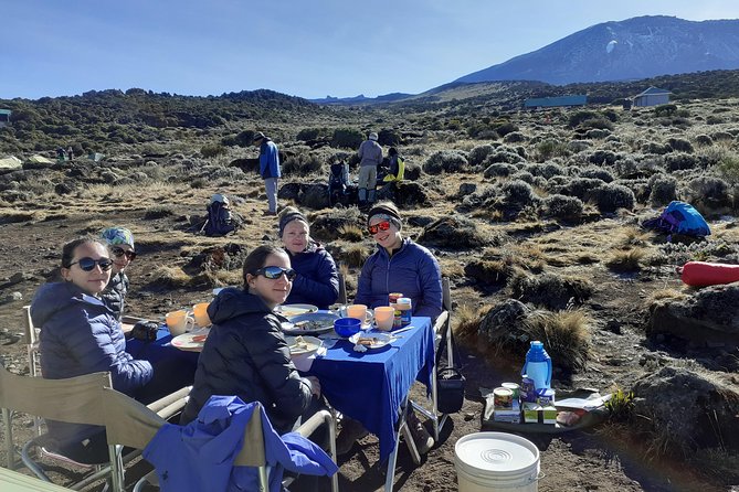 KILIMANJARO MACHAME ROUTE, (Climb 7days) - Day 6: Forest descent and return to Arusha