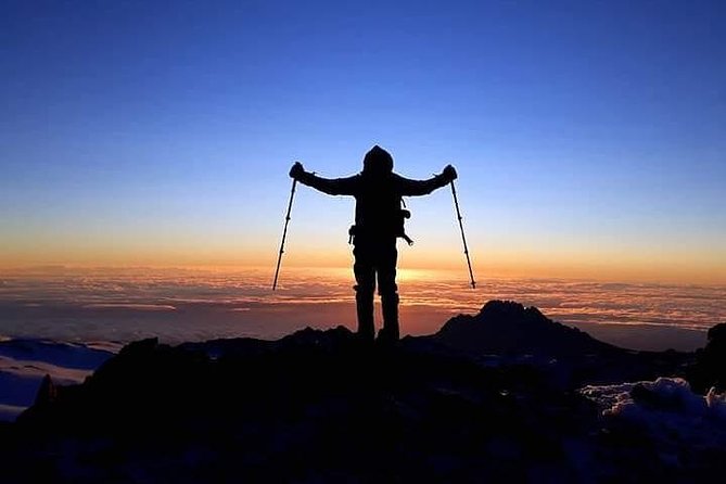 Kilimanjaro Marangu Route 6 Days. (Oldest, easiest & well established) - Day Six: Descending Through the Forest to Arusha