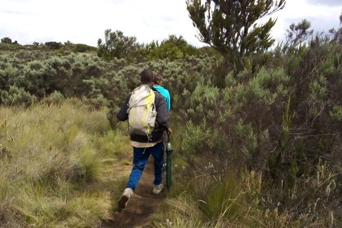 Kilimanjaro National Park Day Trip - The Maundi Crater side trip