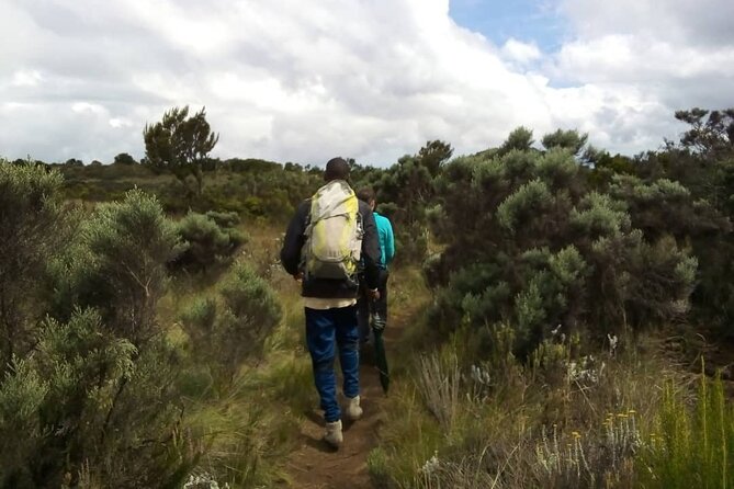 Kilimanjaro National Park Day Trip - Descending to the gate and returning to Arusha