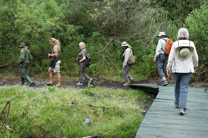 Kilimanjaro Private 2 Days Hiking Tour - Why two days on Kilimanjaro makes sense
