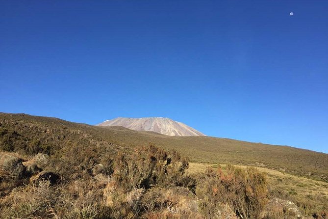 Kilimanjaro Rongai Route 5 Days Trekking - Summit night: Gillman’s Point and Uhuru Peak