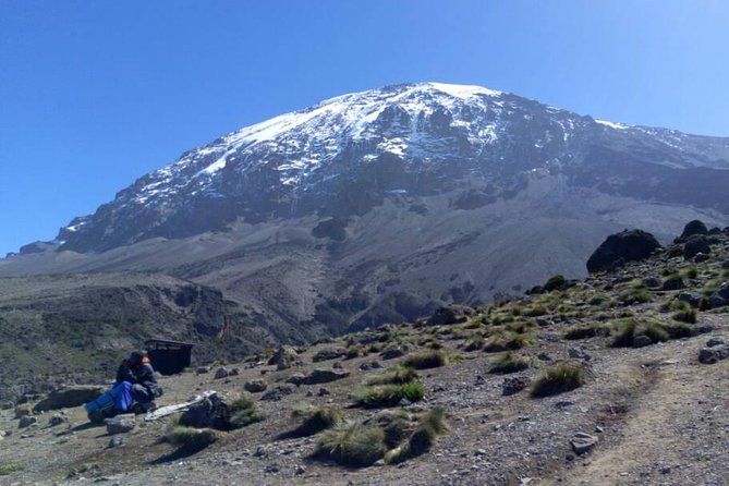 Kilimanjaro Rongai Route 5 Days Trekking - Day 1 on the mountain: forest and First Cave
