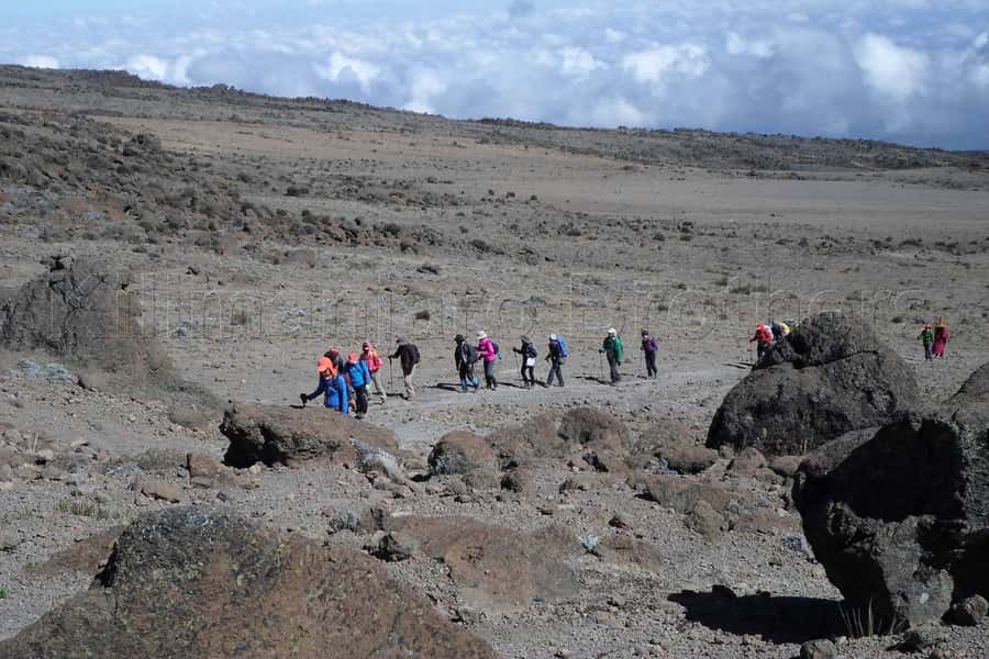Kilimanjaro: Shira plateau to Cathedral point 3872m Day hike - Weather, clothing, and practical preparation