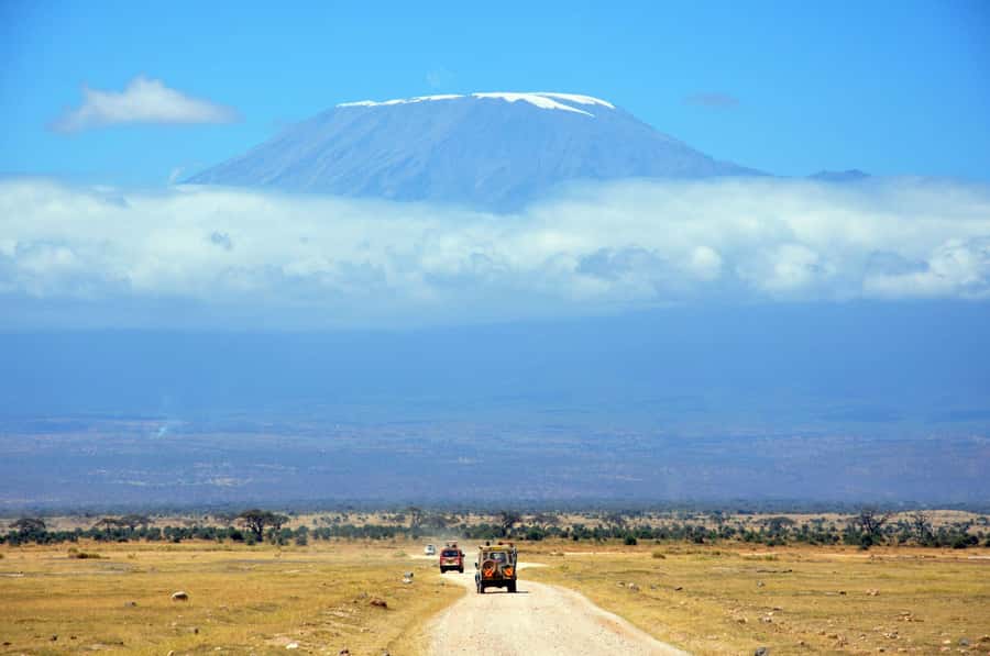 Kilimanjaro: Village Walk, Coffee Tour, Waterfall, and Lunch - Who Will Enjoy This Materuni Experience?