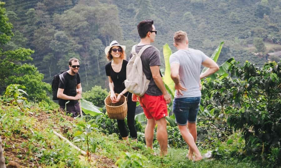 Kilimanjaro: Village Walk, Coffee Tour, Waterfall, and Lunch - Walking Through the Chagga Village