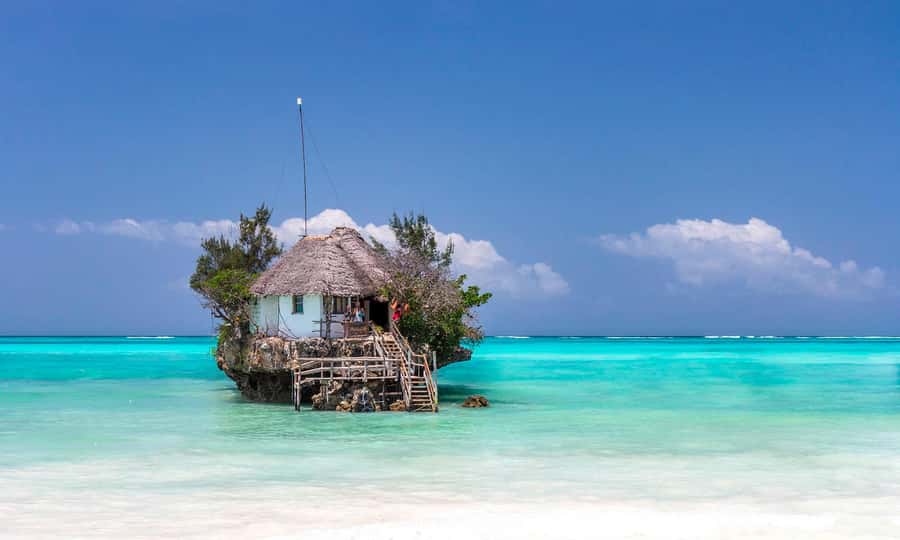 Kiwengwa/Zanzibar: Mnemba, Kuza Cave & Jozani Forest Tour - Key points to know before booking