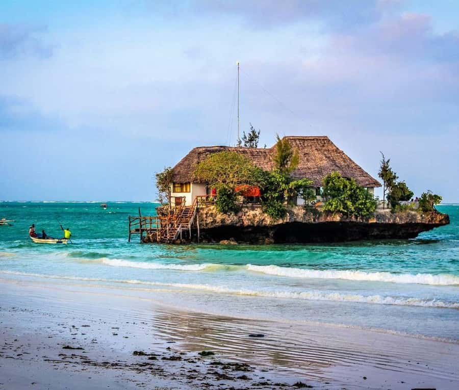 Kiwengwa/Zanzibar: Mnemba, Kuza Cave & Jozani Forest Tour - A long Zanzibar day with several different faces