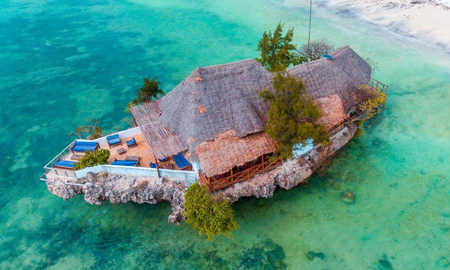 Kiwengwa/Zanzibar: Mnemba, Kuza Cave & Jozani Forest Tour - Jozani Forest and the red colobus monkeys