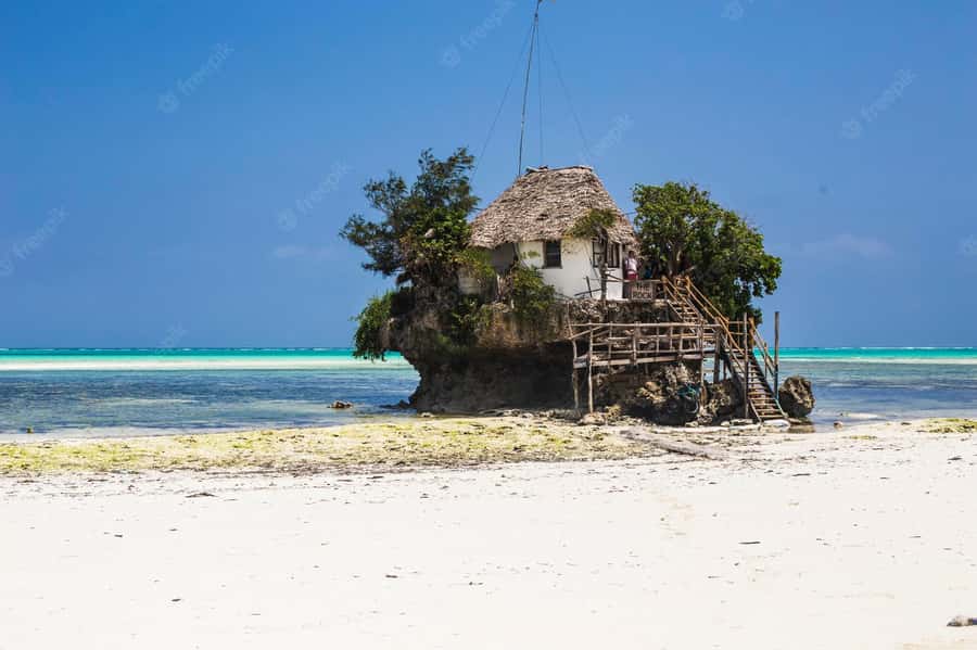 Kiwengwa/Zanzibar: Mnemba, Kuza Cave & Jozani Forest Tour - The Rock Restaurant and the day’s big view