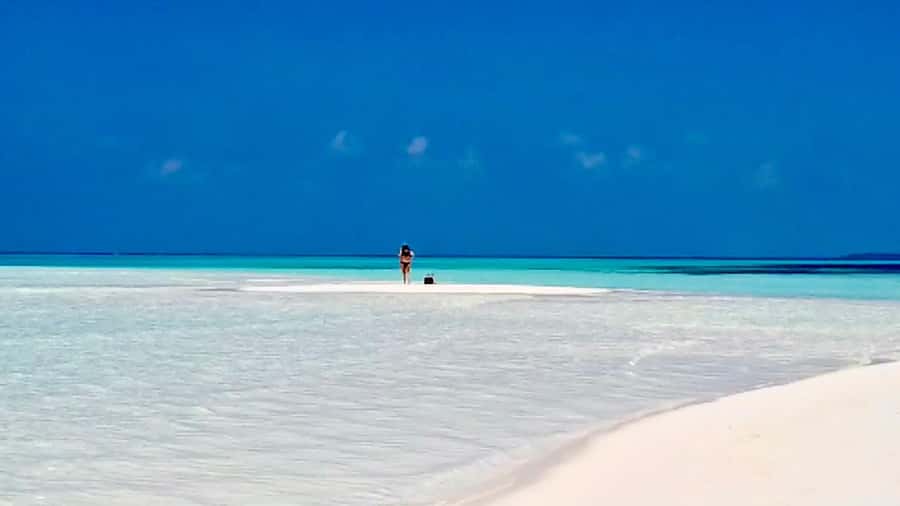 Kiwengwa/Zanzibar: Mnemba, Kuza Cave & Jozani Forest Tour - Guides, drivers, language, and comfort