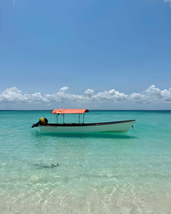 Kizimkazi: Pungume Island Snorkeling & Sandbank Tour - Pungume Sandbank, fruit snacks, and open space