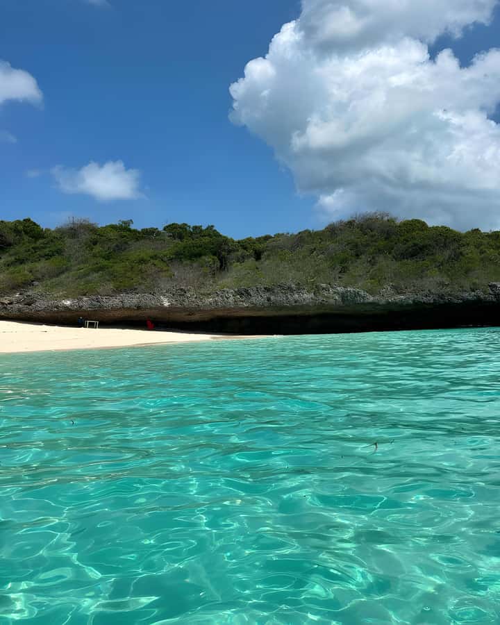 Kizimkazi: Pungume Island Snorkeling & Sandbank Tour - Dolphins, photos, and the return through the lagoon