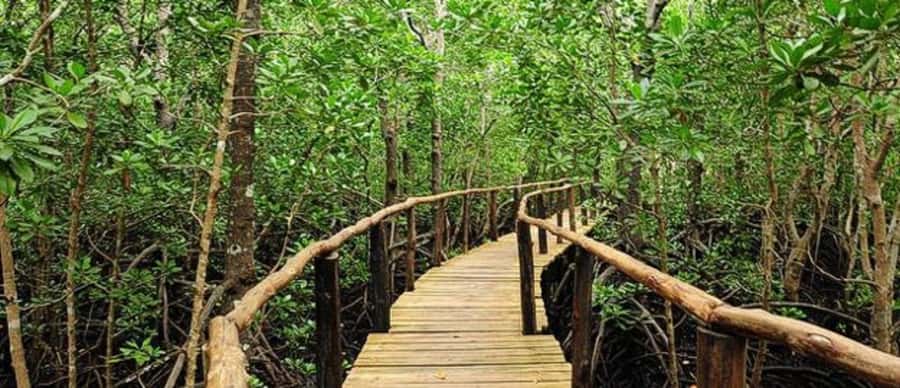 Kuza Cave, Hidden Mtende Beach & The Rock Restaurant - Booking flexibility and pickup details