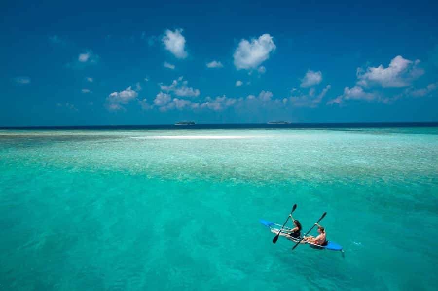 Kuza Cave, Rock Restaurant, Jozani Forest, Clear Kayaking - Who will enjoy this day most