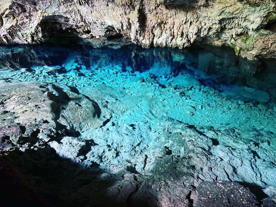 Kuza Cave Tour, Paje Beach, Jozani Forest, The Island Pongwe - Kuza Cave: a natural swimming stop in Jambiani