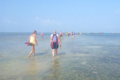 Kwale Island Dhow Sailing Tour from Zanzibar with Seafood Lunch