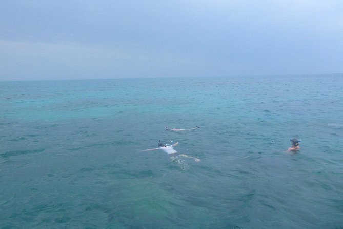 Kwale Island Dhow Sailing Tour from Zanzibar with Seafood Lunch - The ancient baobab walk adds a welcome change of pace
