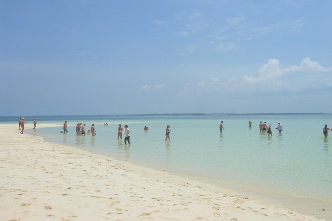 Kwale Island Dhow Sailing Tour from Zanzibar with Seafood Lunch - Group size, transfers, and the practical weak point