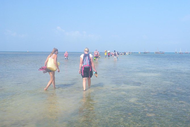 Kwale Island Dhow Sailing Tour from Zanzibar with Seafood Lunch - Snorkeling over Menai Bay coral