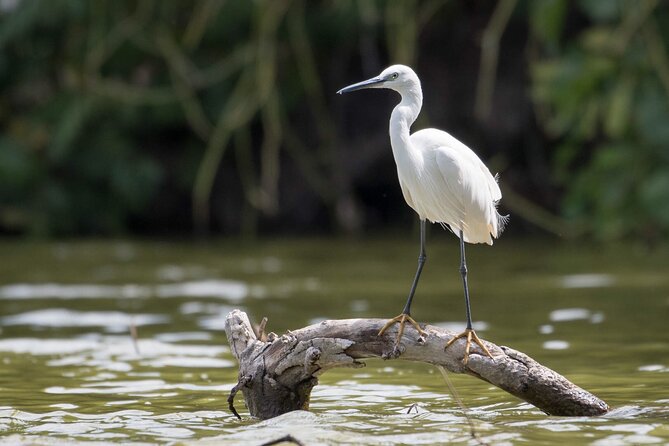 Lake duluti Canoeing/kayaking &/or cycling adventure with lunch - Who will enjoy this Arusha day trip most
