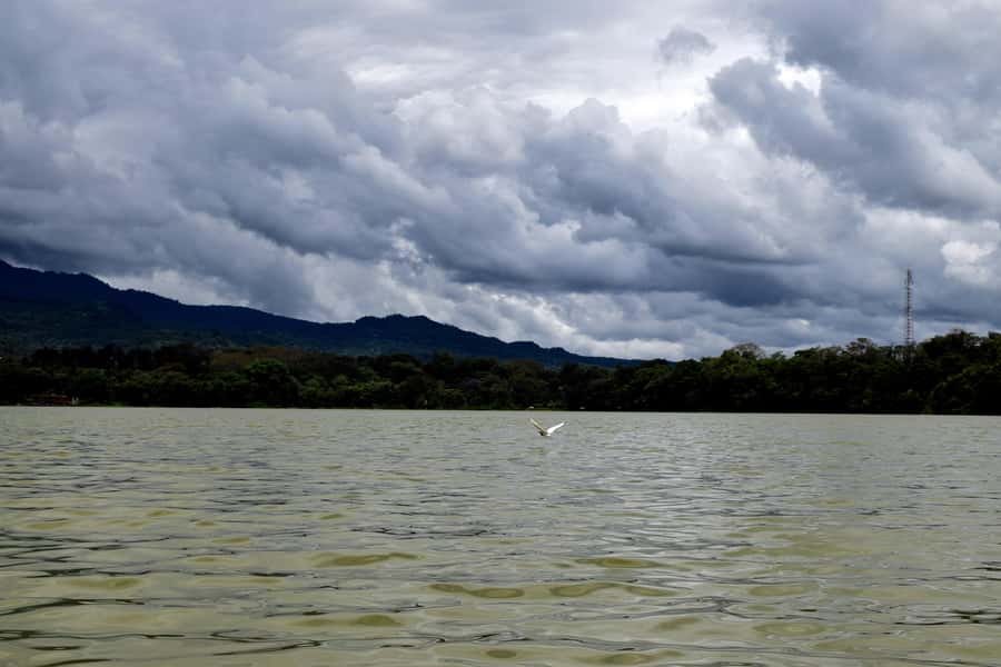 Lake Duluti: Kayaking, Nature Walk, and Add-on Options - What the $80 price really covers