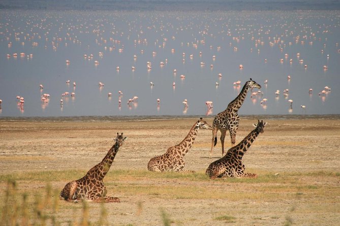 Lake Manyara Guided Day Tour from Arusha - First impressions of Lake Manyara National Park