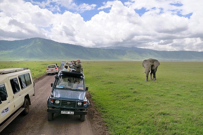 Lake Manyara National Park Full-Day Tour from Arusha - Why Lake Manyara makes a good short safari