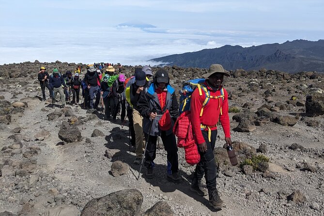 Lemosho Route 7 Days Trekking at Mount Kilimanjaro - Day 4: the Barranco Wall and a short Karanga day