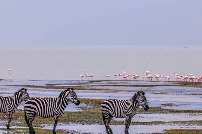 Leopard Luxury Safari in Tanzania - What this seven-day safari is really designed to do