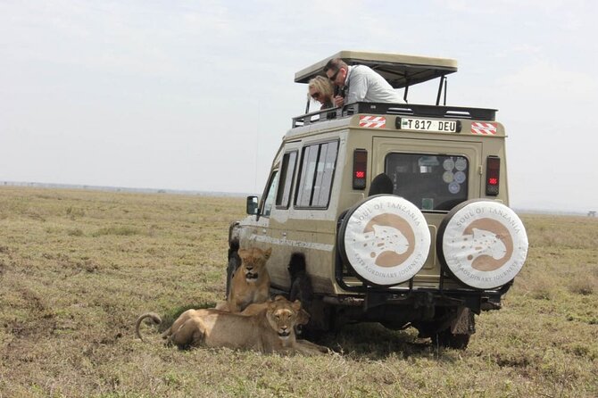 Living Among Lions - Key points to know before booking