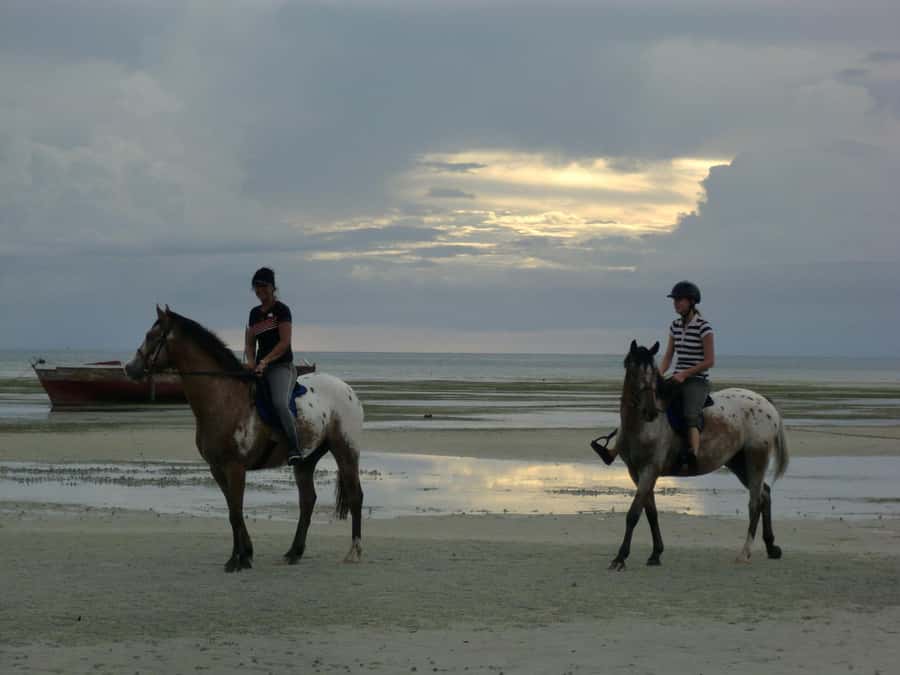 Lunch at The Rock Restaurant, Monkey Tour, Horseback Riding - Is $220 per person a fair price?