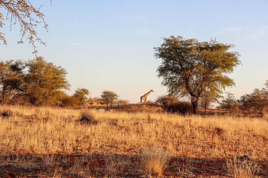 Maasai, Mikumi NP & Chizua Falls 3 Days From Dar es salaam - Practical advice for a smoother three days
