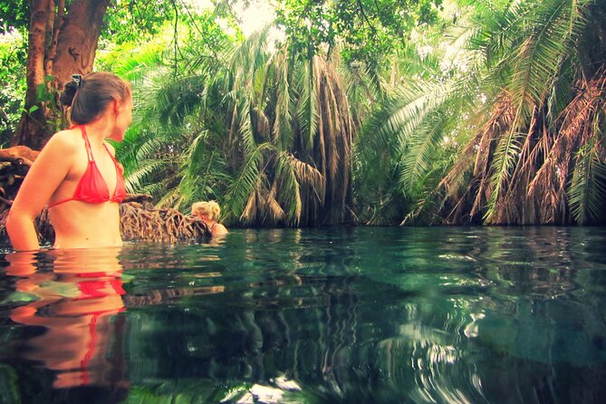 Maasai village visit and Chemka hot-springs with hot lunch. - Kikuletwa Hot Springs and the afternoon swim