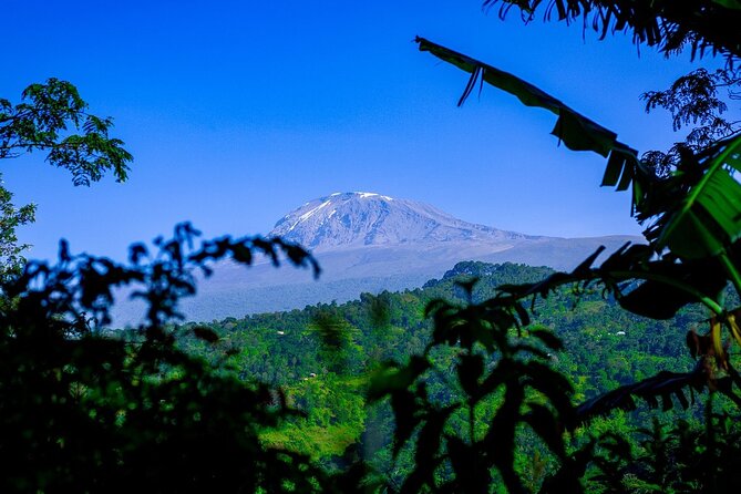 Maasai village visit, Materuni waterfalls & coffee experience - Who will enjoy this 12-hour outing