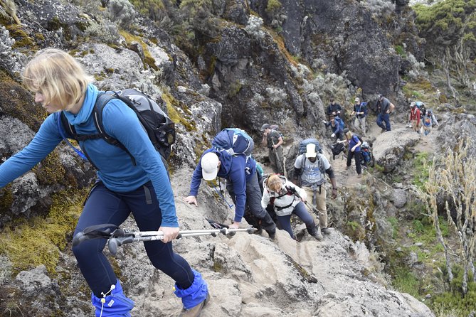 Machame Route 6 days 5 Nights/Kilimanjaro Climb - What the six-day Machame Route feels like