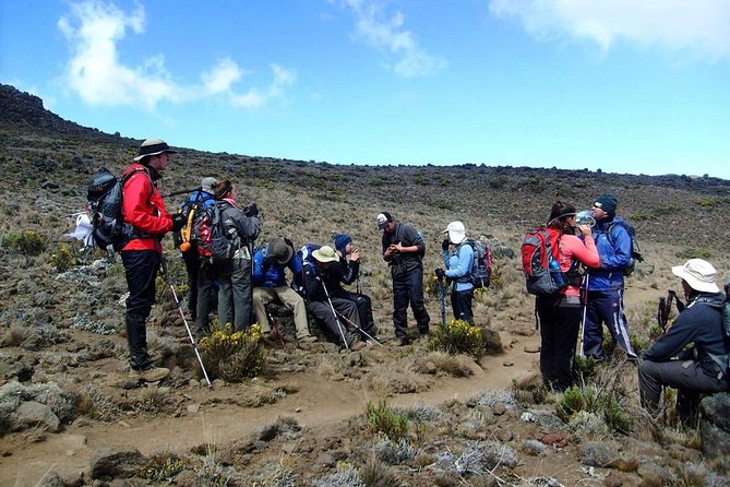 Machame Route 6 days 5 Nights/Kilimanjaro Climb - Day two: Leaving the forest for Shira Camp