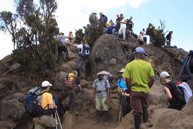 Machame Route 6 days 5 Nights/Kilimanjaro Climb - Day three: Lava Tower and the Barranco acclimatization day