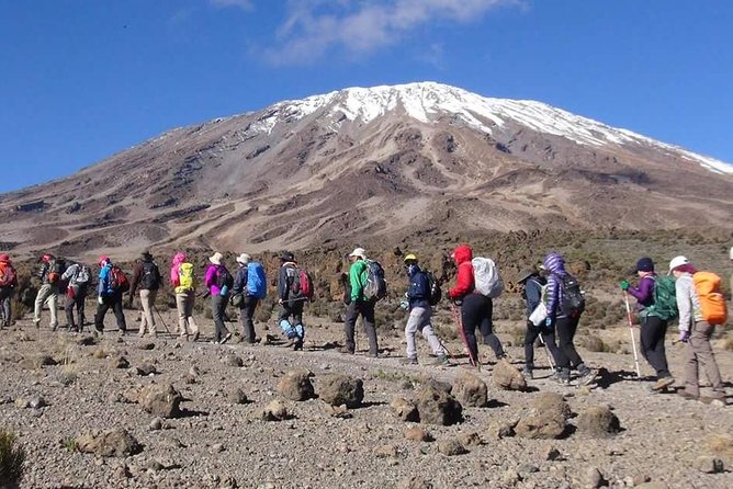 Machame Route 6 days 5 Nights/Kilimanjaro Climb - Day five: Stella Point, sunrise, and Uhuru Peak