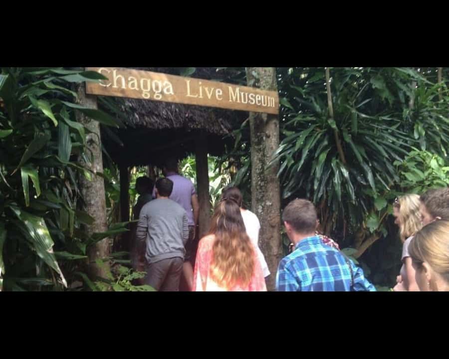Marangu: Traditional Village Tour with Chagga Experience - Markets, Crafts, and the Everyday Village