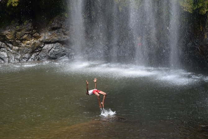 Marangu waterfall & Coffee making Cultural Tour | BURIGI CHATO SAFARIS CO LTD - Lunch, Banana Beer, and Local Hospitality