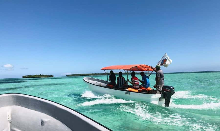 Matemwe village: Half day Snorkeling trip at Mnemba Island - Snorkeling around the Mnemba reef